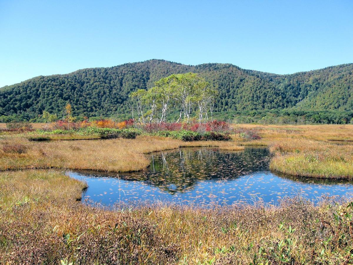 Pension Green Field Katashina Eksteriør bilde