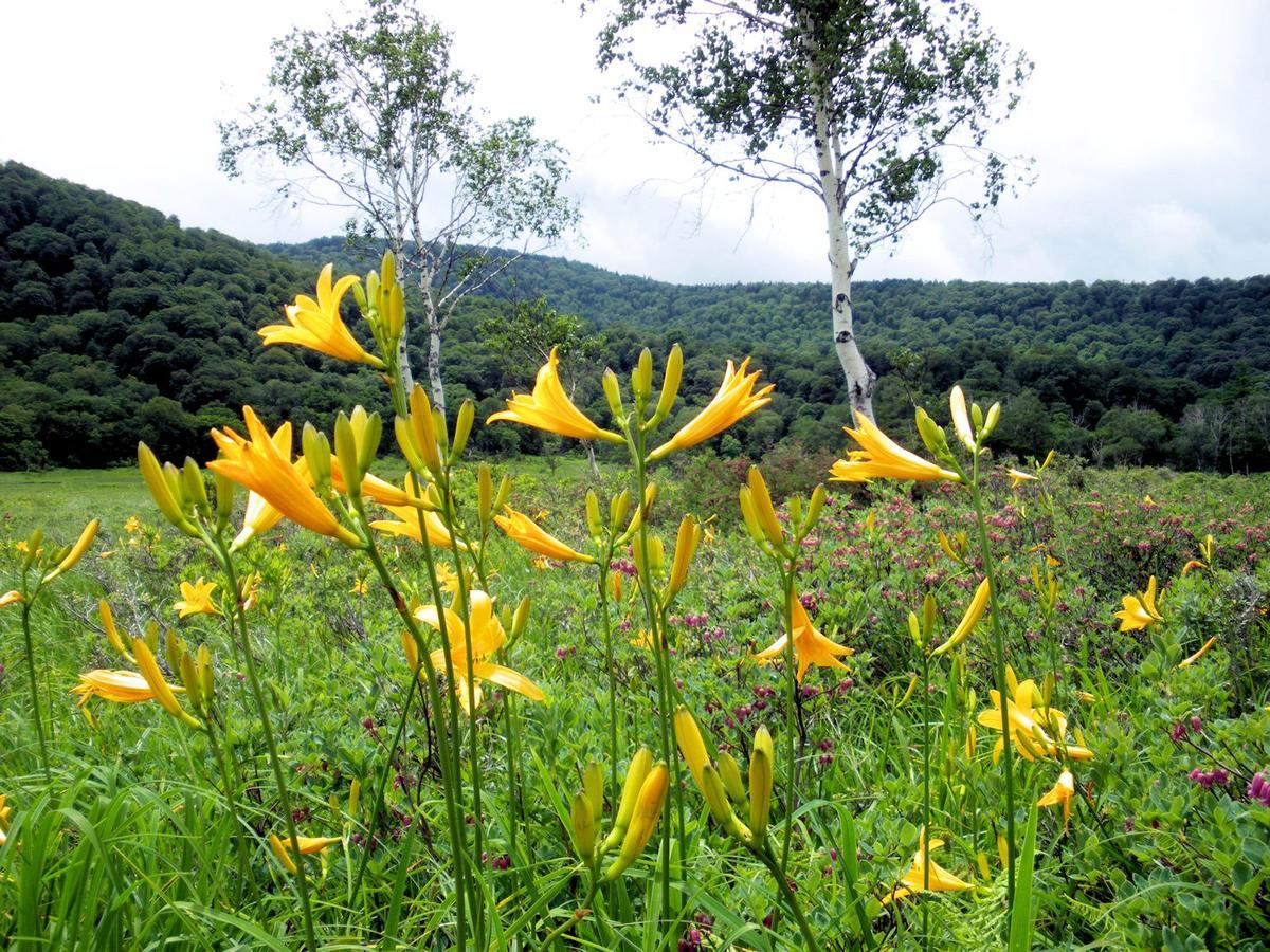 Pension Green Field Katashina Eksteriør bilde